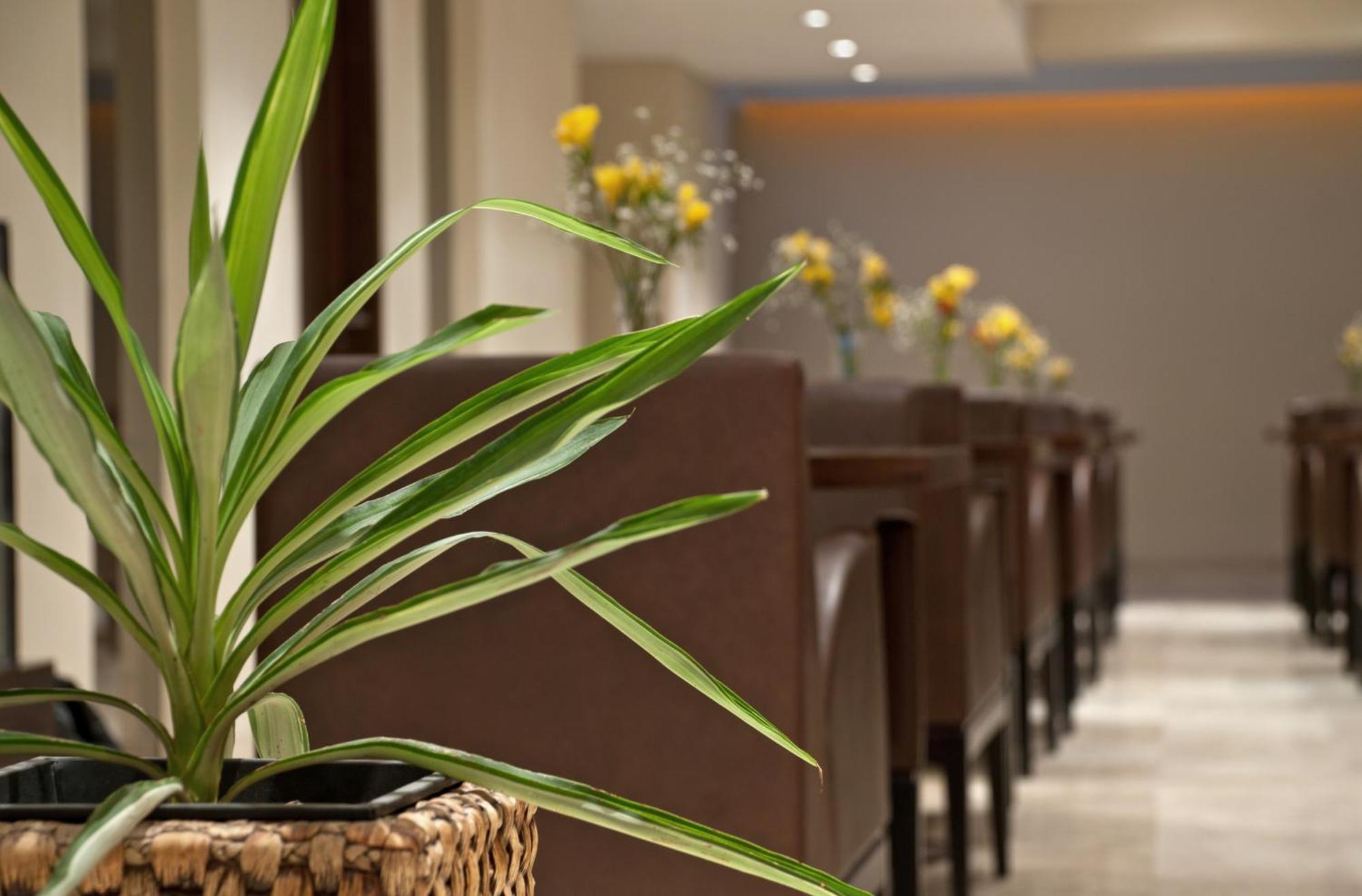 Hotel Punta Del Este Mar del Plata Eksteriør bilde